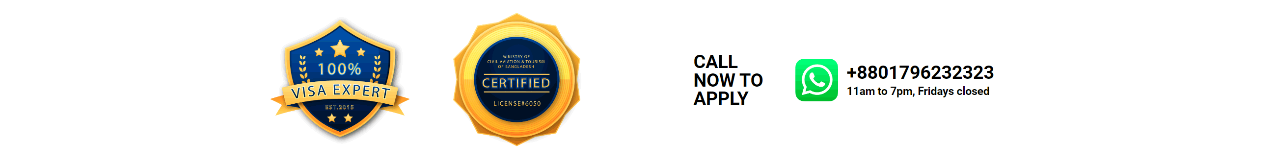 Visa Processing Service